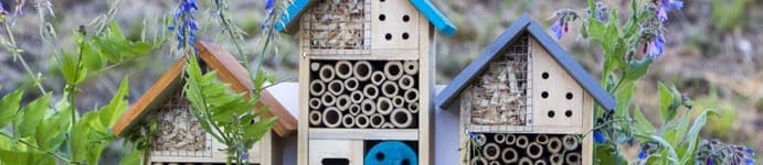 7 tips groen bedrijfsterrein, plaats nestkastjes en insectenhotels