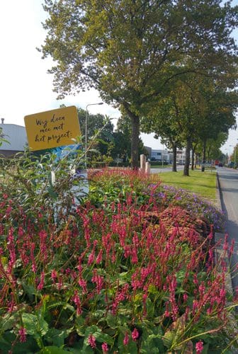 Bloeiend biodivers bedrijventerrein Grote Polder Zoeterwoude